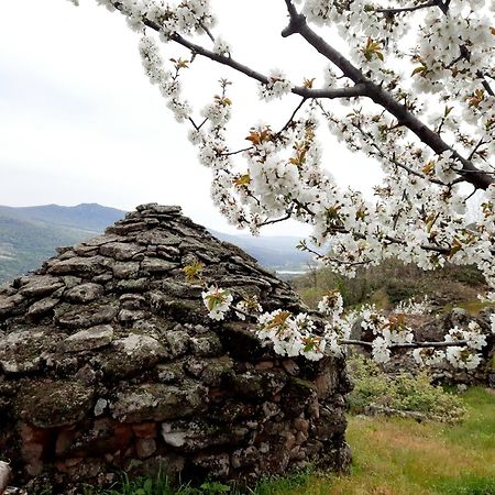 Apartamento Rural Amaluna エル・トルノ エクステリア 写真